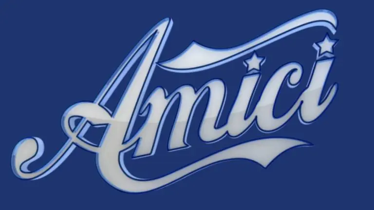 Anticipazioni Amici 21