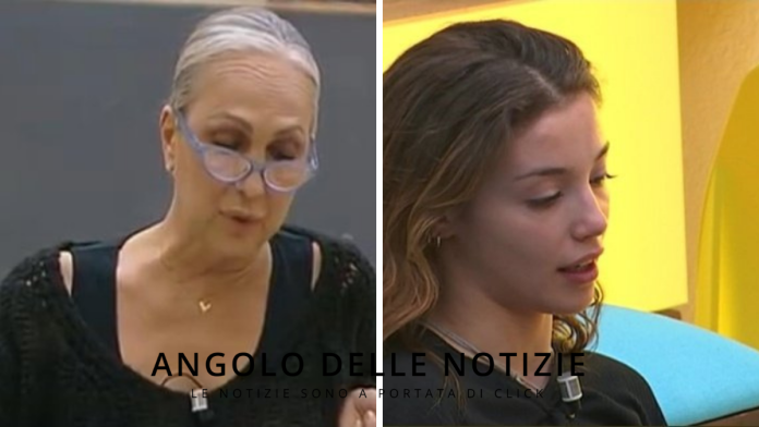 Amici 21