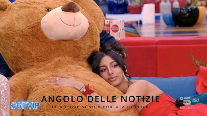 GF VIP Manuel GF VIP