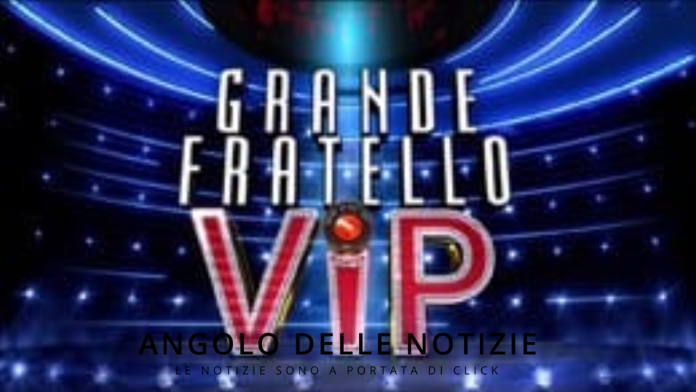 GF VIP 7