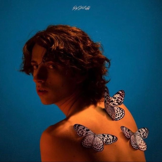 Farfalle, il testo del nuovo singolo di Sangiovanni a Sanremo 2022