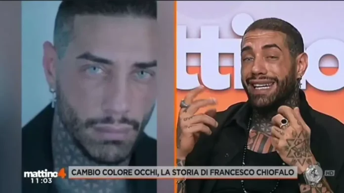 Francesco Chiofalo, il suo intervento in tv