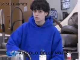 Spoiler Amici 24 Senza Cri