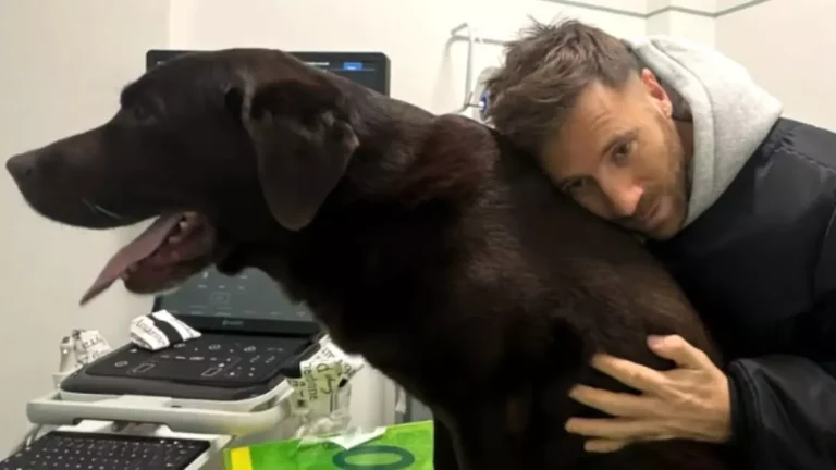 Nicolò De Devitis e l'annuncio su Dotto